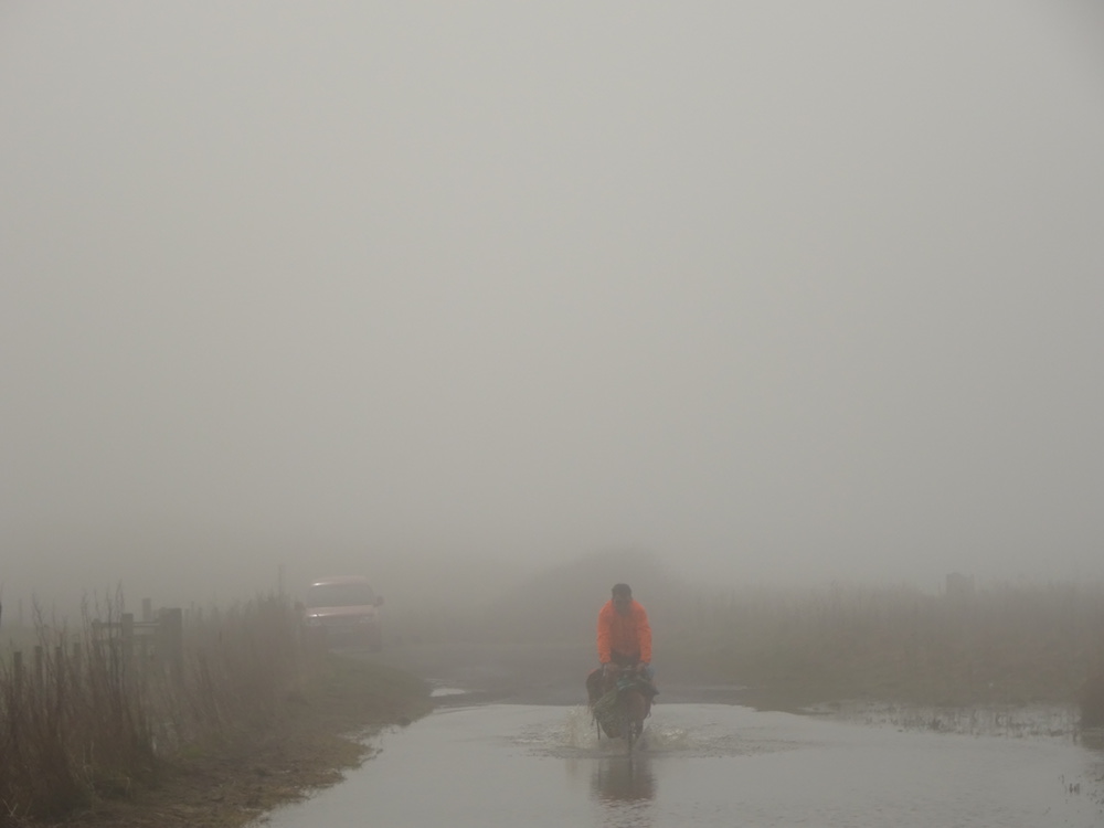 DSC02978, Northumbrian coast, April 2918